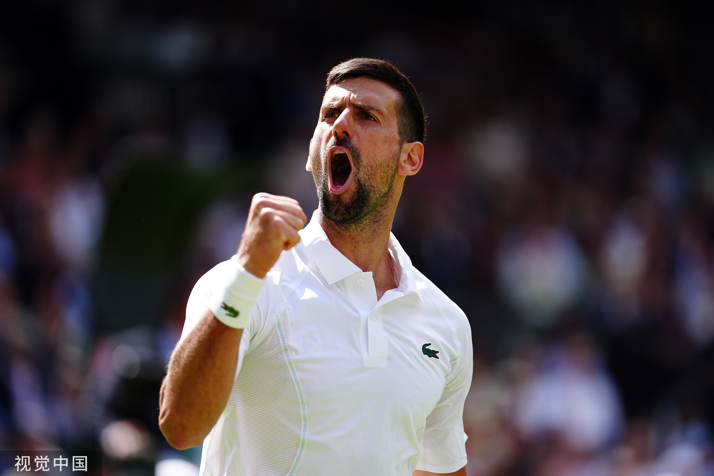 黑白体育-德约科维奇回归赛场，逆转首场状态亮眼，雄鹿观众沸腾！的简单介绍